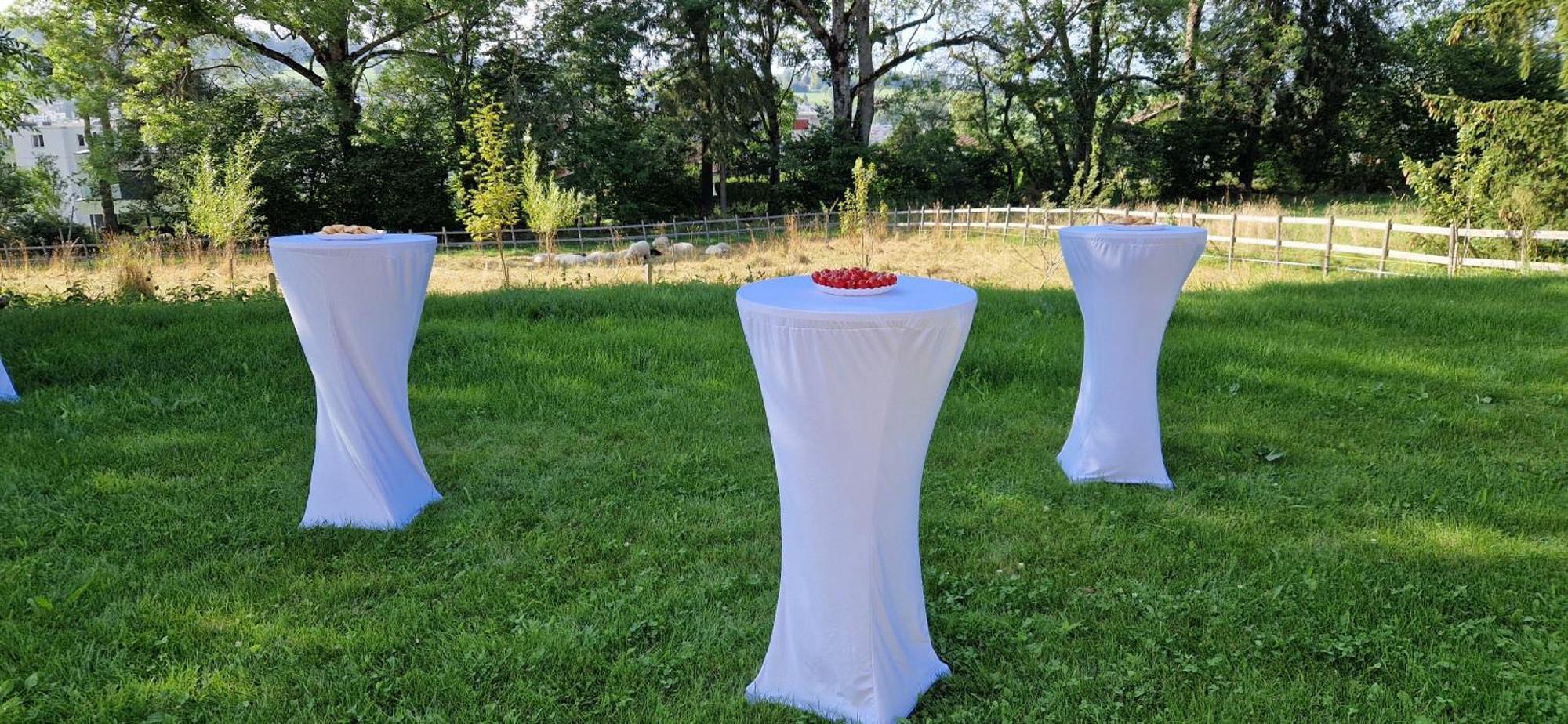 La Ferme Des Aretes Bed & Breakfast La Chaux De Fonds ภายนอก รูปภาพ